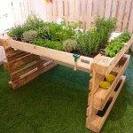 Marvelous Ideas to Exhibit Your Indoor Mini Garden