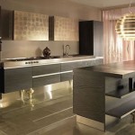 Nice Looking Contemporary Kitchen Designs For Your Home