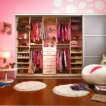 Stunning And Colorful Walk In Closet Design Ideas
