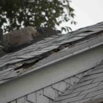 What Are The Most Common Reasons For Roof Problems?